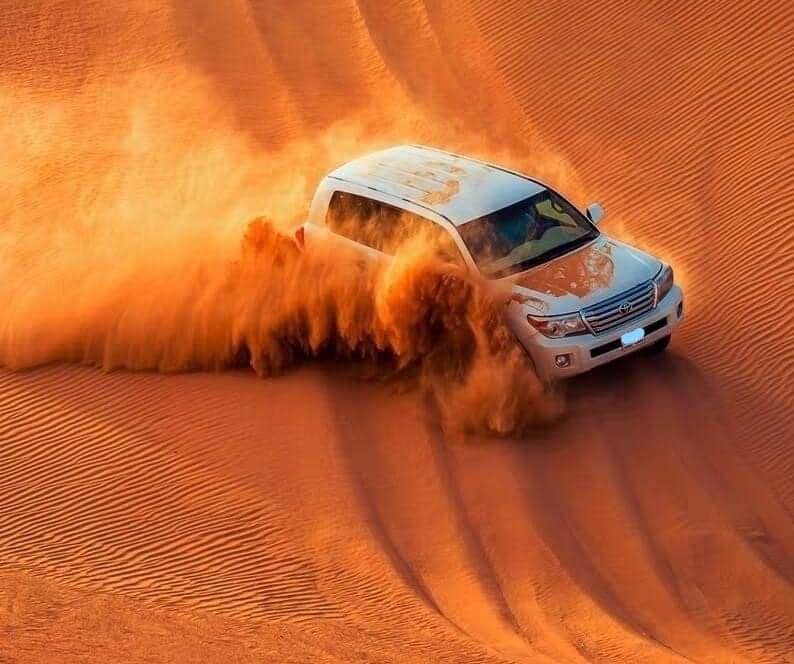 Budget or Basic Dessert Safari