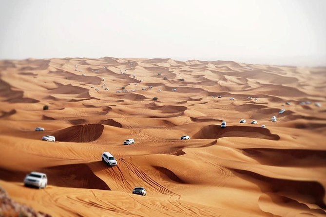 Premium Desert Safari