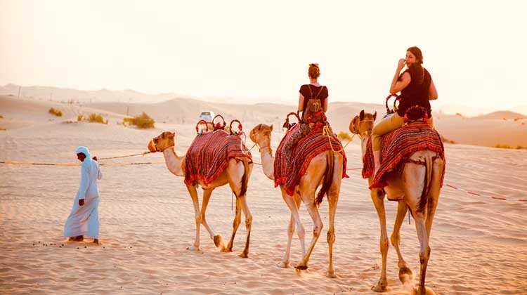 Budget or Basic Dessert Safari
