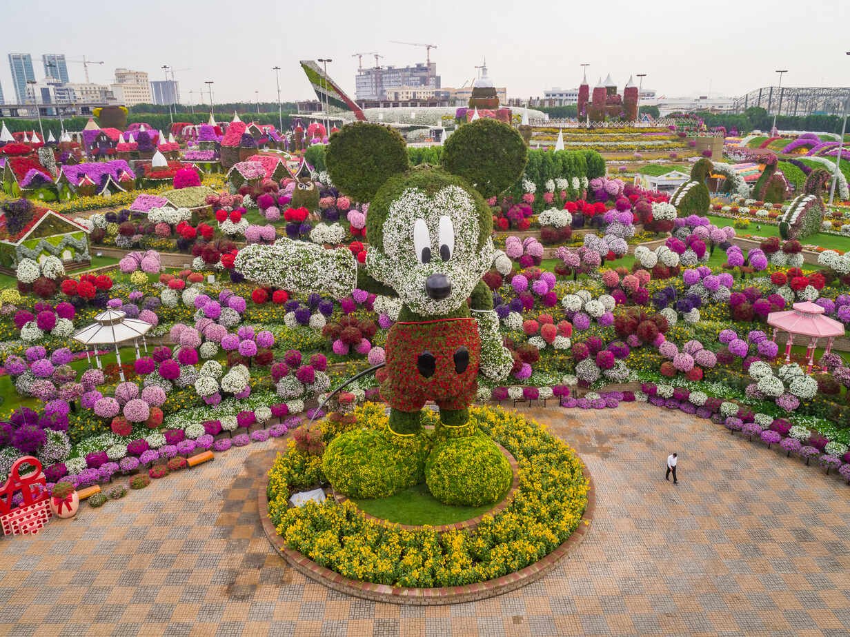 Miracle Garden