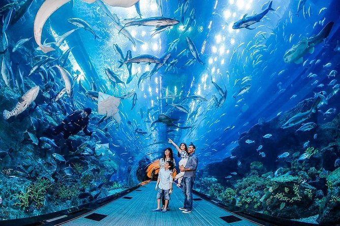 Dubai Aquarium amp Zoo