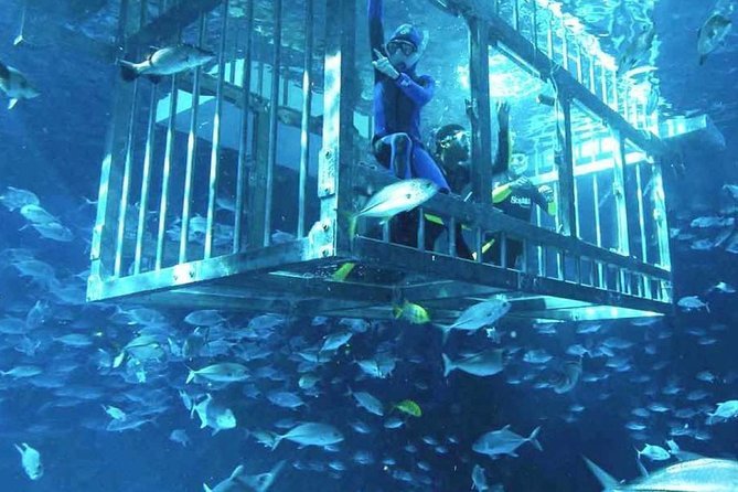 Dubai Aquarium amp Zoo