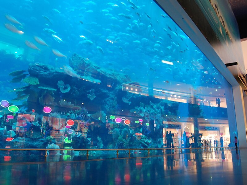 Dubai Aquarium amp Zoo