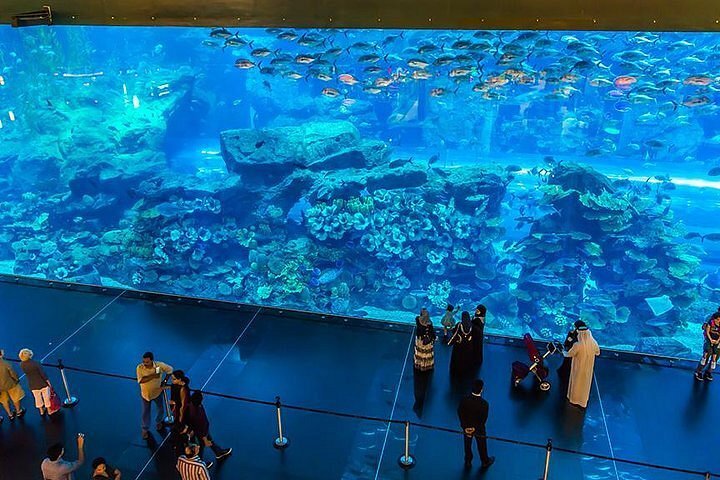 Dubai Aquarium amp Zoo