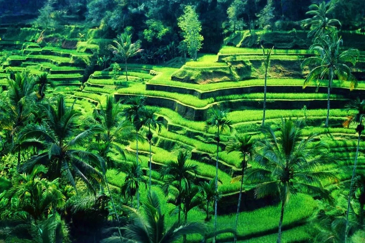 Bali Tour Package