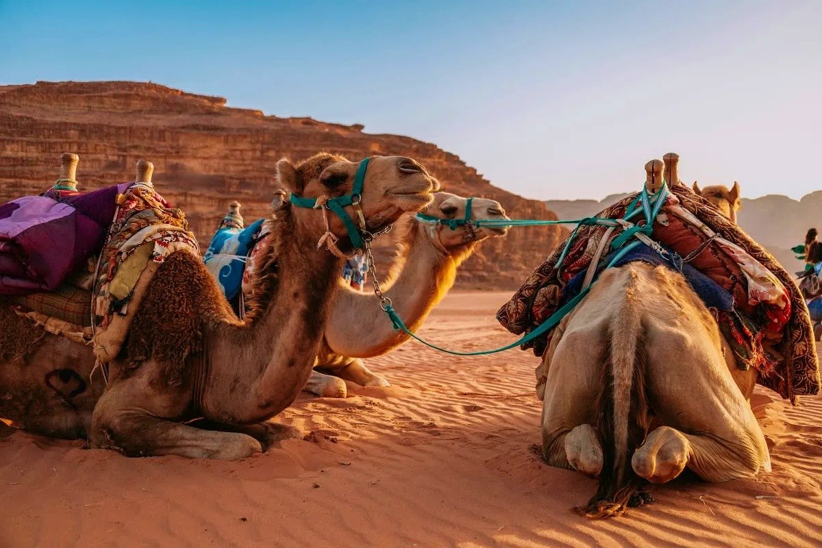 Sands of Jordan Adventure