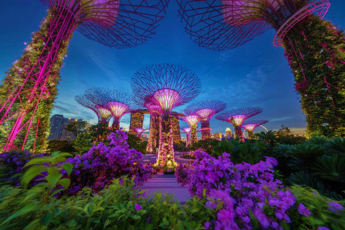 Singapore Classic Highlights Tour