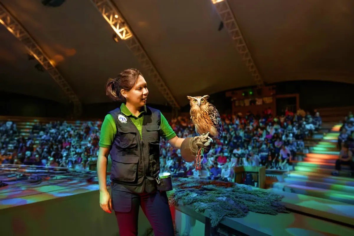 Singapore Classic Highlights Tour